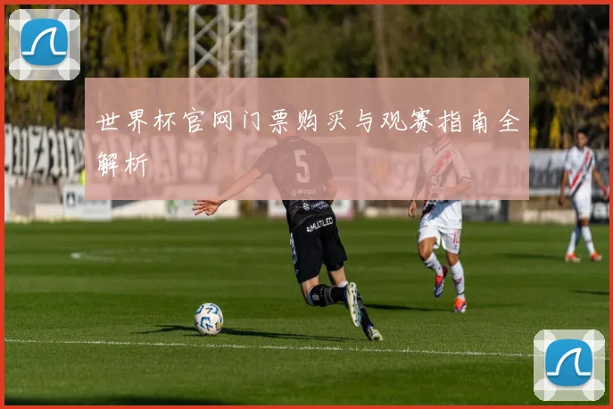 世界杯官网门票购买与观赛指南全解析